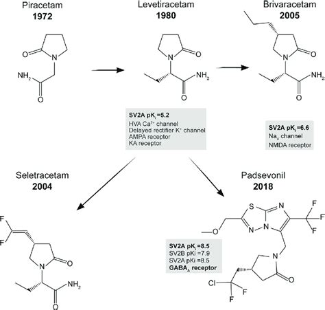 Research Breakdown on Piracetam .